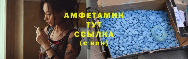 индика Белокуриха