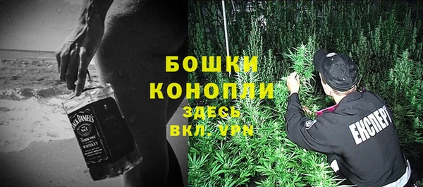 индика Белокуриха