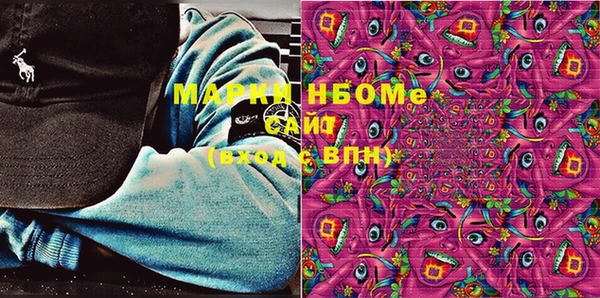 индика Белокуриха