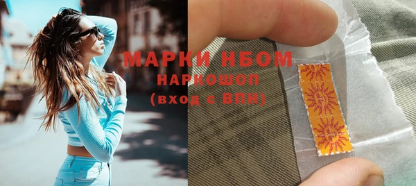 индика Белокуриха