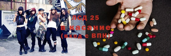 индика Белокуриха