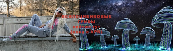 прущие грибы Сосновый Бор